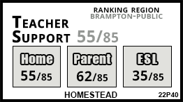 Homestead school Brampton